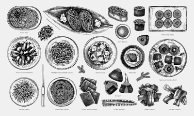 Hand-drawn healthy food vector illustration collection. Edible seaweed dishes sketches with names isolated on white background. Asian cuisine menu design elements in engraved style